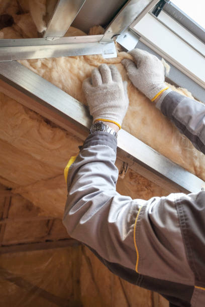 Foam Insulation Services